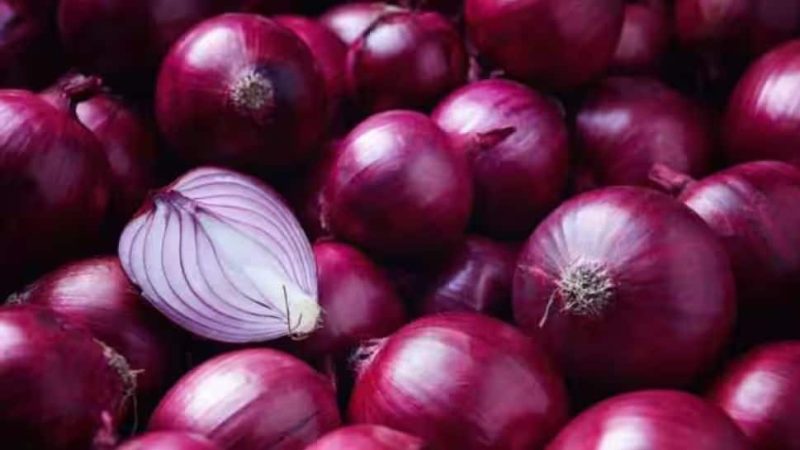 Government Permits Export Of 99,150 Metric Tonnes Of Onions To 6 Countries | Economy News